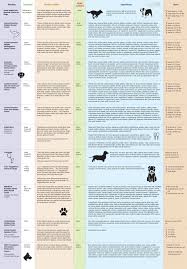 Dental chart template comprehensive exam note. Canine Dental Treat Comparison Chart