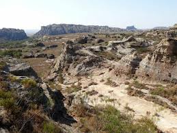 Image result for Mascarenhasia