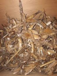 اتَّقُوا اللَّهَ حَقَّ تُقَاتِهِ وَلا تَمُوتُنَّ إِلَّا وَأَنْتُمْ مُسْلِمُونَ) (آل عمران:102) (يَا أَيُّهَا النَّاسُ اتَّقُوا رَبَّكُمُ الَّذِي خَلَقَكُمْ مِنْ نَفْسٍ وَاحِدَةٍ وَخَلَقَ مِنْهَا زَوْجَهَا وَبَثَّ مِنْهُمَا رِجَالاً كَثِيراً وَنِسَاءً وَاتَّقُوا اللَّهَ الَّذِي تَسَاءَلُونَ. ÙÙˆØ§Ø¦Ø¯ Ø¹Ø´Ø¨Ø© Ø±Ø¬Ù„ Ø§Ù„Ø£Ø³Ø¯ Ø¹Ù„Ù…Ù†ÙŠ