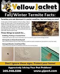 Cox pest control is located in keystone heights, fl and can be reached at: Yellow Jacket Termite Pest Control Home Facebook