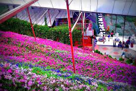 Cameron highlands rose apartment offers impeccable service and all the essential amenities to invigorate travelers. Cameron Highlands Rose Garden See More Http Www Joy Travels Com City Malaysia Cameronhighlands Best Tourist Destinations Malaysia Travel Cameron Highlands