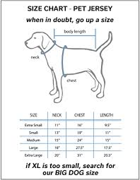 Whilst we have selection of rabbits, mice and hamsters will surely appeal to most small children, it's our choice of exotic pets that. New Washburn Ichabods Dog Pet Premium Jersey W Name Tag Le Dog Clothing Shoes Pet Supplies Worldenergy Ae