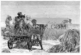 Image of INDIA: ANTELOPE HUNT, 1872. - 'Loosing The Cheetah.' Hunting Antelope With Cheetahs In India. Wood Engraving, English, 1872. From Granger - Historical Picture Archive