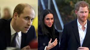 Duke of cambridge reportedly kept result queen and prince william criticised for maskless visit. Here S Why Prince William Was Extremely Upset With Prince Harry Meghan Markle During Archie S Birth