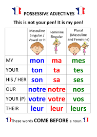 French Possessive Adjectives Pronouns French Flashcards French Language Lessons Study French