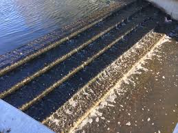 Stepped Weir Fountain At Lake Vitruvian Park Addison Texas Designed By Kevin Sloan Studio Www Fountainsdallas Com Fountains Park Fountain