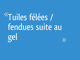 Sylvester stallone, dave bautista, 50 cent vb. Tuiles Felees Fendues Suite Au Gel