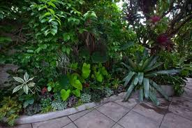 Budwise Garden Img 2838 Jpeg Garden Design Garden Plants