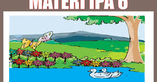 Beli esps ipa kelas 6 sd erlangga kurikulum 2013 di toko buku lestari. Materi Ipa Kelas 6 Pdf Semester 1 Dan 2