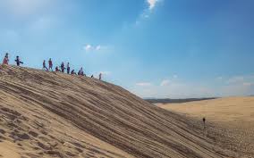 A minibus with dunes & desert panel will pick you up and drive you to our base. Port Stephen Sandboarding At Anna Bay Sand Dunes Crouching Tourist Hidden Gem