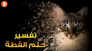 تفسير حلم القطة ماذا تعني رؤية القطة في الحلم سلسلة تفسير الأحلام Youtube