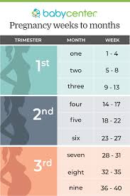 pregnancy in weeks months and trimesters babycenter