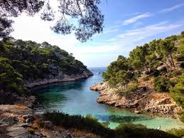 Port Pin Calanque Calanque Parc National Marseille