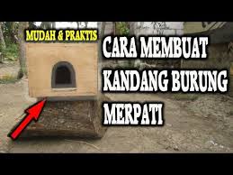 Kandang gupon, kandang macan, kandang dongdang, kandang wartel ingin tau cara bikin kandang merpati sederhana murah meriah? Cara Membuat Kandang Burung Merpati