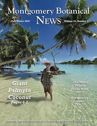 Image result for Synsepalum muelleri