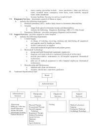 Organizational Structure Of A Hospital 1