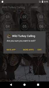 15 turkey call sounds included. Wild Turkey Hen Calling Sounds For Android Apk Download