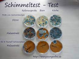 Erfahren sie mehr zu unserem umfangreichen test sortiment! Teurer Schimmeltest Vom Bausachverstandigen Vs Diy Schimmeltest