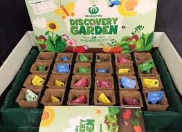 .when woolworths ditched its lion king ooshies and opted for a mini garden for green thumbs. Woolworths Discovery Gardens Are Coming Ellaslist