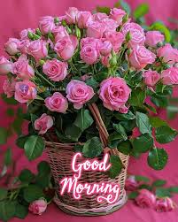 🍁Beautiful Flowers🍁Good... - Flowers with good morning ...