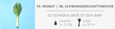38 Ssw Schwangerschaftswoche Das Erlebst Du In Der 38 Schwangerschaftswoche