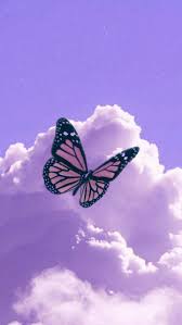 Check spelling or type a new query. Purple Butterfly Phone Wallpapers Top Free Purple Butterfly Phone Backgrounds Wallpaperaccess