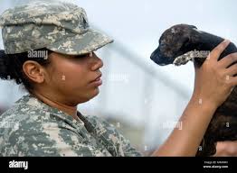 Alaniz hi-res stock photography and images