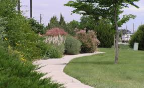 This type of sprinkler needs to run longer than the smaller spray heads that spray in a fixed fan pattern. Lawns And Turf Southeastern Colorado Water Conservancy District