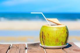 Hasil gambar untuk air kelapa
