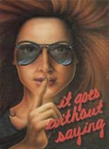 Hinsdale South High School: Class of 1987