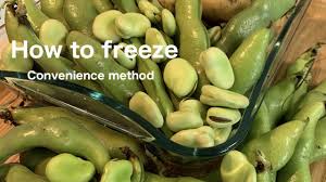 Shake each package to compact the beans. How To Freeze Fava Beans You Can Find Convenience Method Youtube