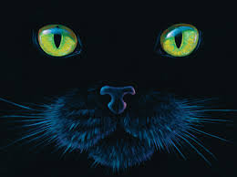 Check spelling or type a new query. Puzzle Charles Lynn Bragg Black Cat Sunsout 63346 1000 Pieces Jigsaw Puzzles Cats Jigsaw Puzzle