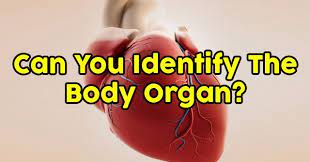 Florida maine shares a border only with new hamp. How Well Do You Know The Female Body Quizpug