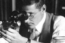 McCulloch's Anemonefish, Amphiprion mccullochi (Whitley, 1929)