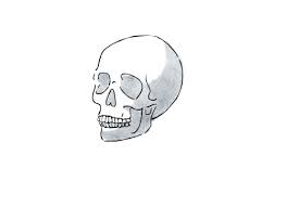 New Transparent Blog Tumblr Creepy Gif Skull Animation Drawing Sketches