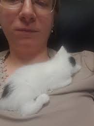 Inter-species napping