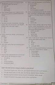 Semua pemain selebritis fc tampil sangat apik. Tolong Teman Teman Ya Brainly Co Id