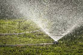 Nicht nur, dass nicht ausreichend gewässerte pflanzen schlechter wachsen und weniger bzw. Rasen Bewassern Wie Oft Braucht Der Rasen Wasser