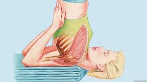 Shoulders should be fully extended; Yoga Anatomy Shoulderstand