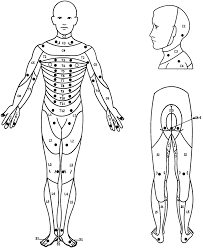 location of the key sensory points for each dermatome