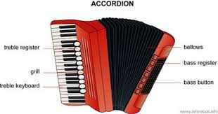 Learn About The Accordion Memorize This Today Accordion How To Memorize Things Musical Instruments