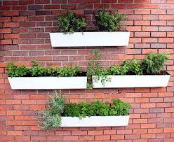 Garden On A Wall Wall Mounted Planters Garden Wall Wall Mounted Planters Indoor