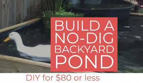 If you can regulate the size is garden pond filter in asia. How To Build A No Dig Backyard Pond For Under 70 Hawk Hill