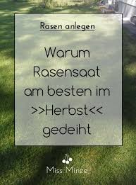 Wie Lange Braucht Der Rasen Zum Keimen Erfahrungsbericht Rasen Anlegen Garten Neu Anlegen Rasen
