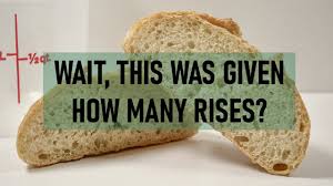 How Many Times Can You Knock Back Yeasted Dough Knead Rise Bake