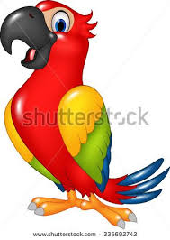 Bird Drawing For Kids Parrot Parrot Stock Vectors Vector Clip Art Parrot Cartoon Cartoon Clip Art Funny Parrots