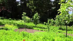 _____ l'événement dédié aux amoureux du jardin urbain et du design d'extérieur. La Vie De Chalet Les Jardins De L Eau Du Pre Curieux A Evian Youtube