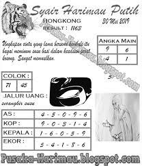 Syair Harimau Putih Hongkong 30 Mei 2019 Harimau Putih Harimau Stres