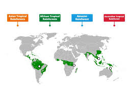 Tropical rainforests do not experience significant seasonal changes. Main Tropical Rainforests In The World Labelled Diagram