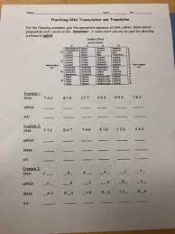 Coloring transcription and translation key worksheet answers dna rna from transcription and what is the role of trna in the process. Date Per Practicing Dna Transcription And Translation Chegg Com